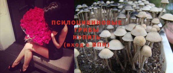 сатива Переславль-Залесский